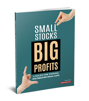 Small Stocks Big Profits :: 4 Rules For Finding Multibagger Small Caps
